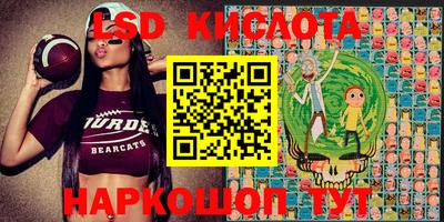ГАЛЛЮЦИНОГЕННЫЕ ГРИБЫ Донской