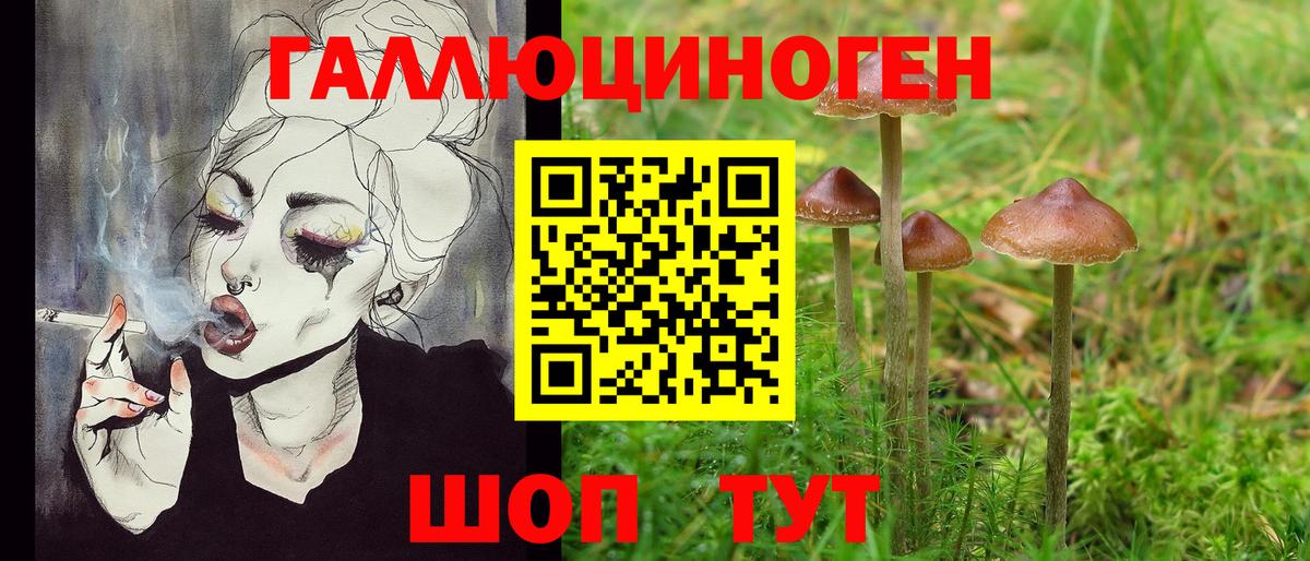 Галлюциногенные грибы мицелий  Псилоцибиновые грибы мухоморы  Камышин  Вход с VPN 