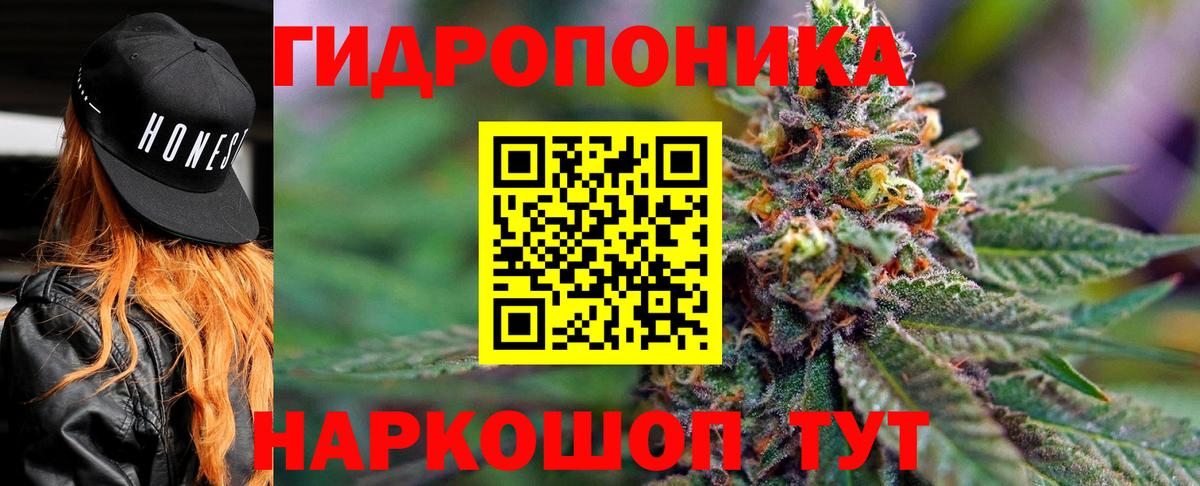 Марихуана план Камышин